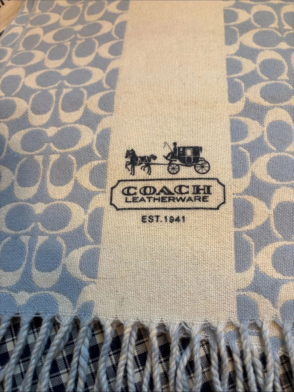 Coach Light Blue & Cream Signature Fringe Scarf - Coach
